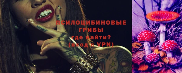 гашик Горно-Алтайск