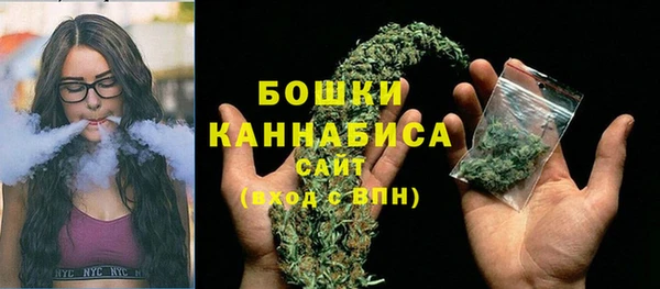 крисы Вяземский