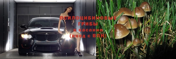 метадон Горнозаводск